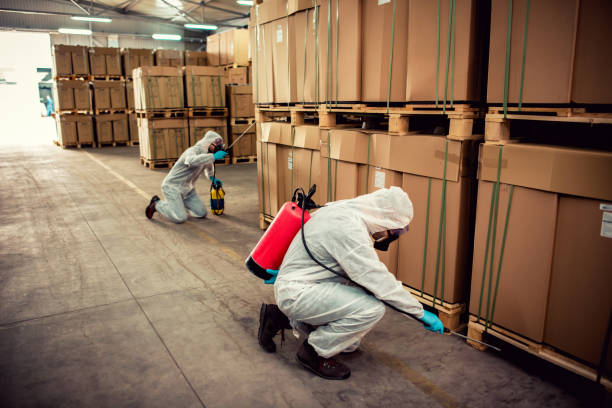 Best Termite Control Services  in Orinda, CA