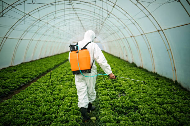 Professional Pest Control in Orinda, CA