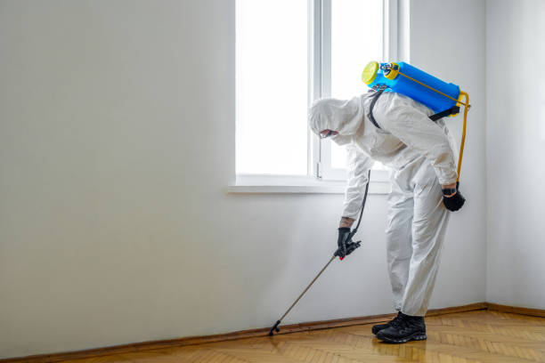 Best Flea Control Services  in Orinda, CA